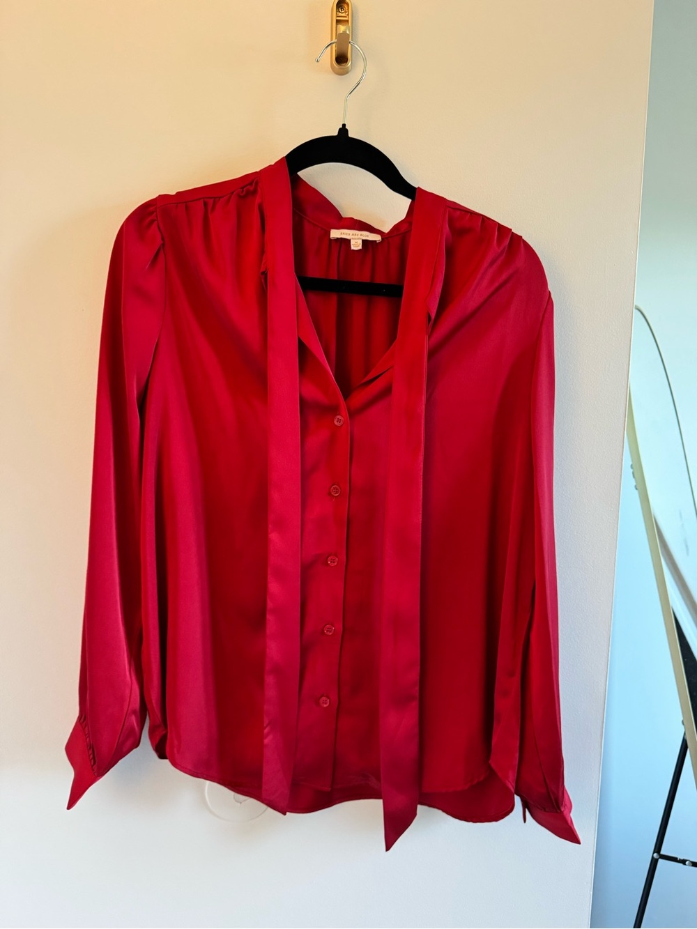 Skies Are Blue Red Satin Tie-Neck Blouse